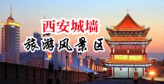 后入狂插中国陕西-西安城墙旅游风景区