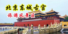 免费一级大黄老外大鸡巴大日大美大逼毛中国北京-东城古宫旅游风景区